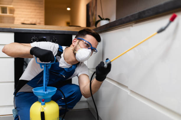 Best Wasp Removal Services  in Ithaca, MI