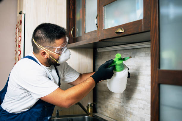 Best Insect Control  in Ithaca, MI