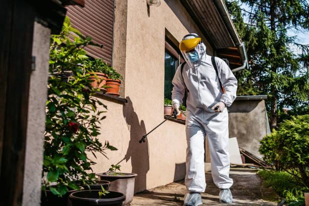 Bird Control in Ithaca, MI