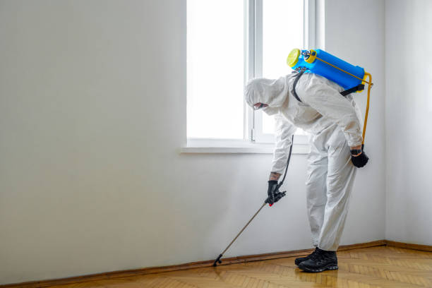 Best Mosquito Control Services  in Ithaca, MI