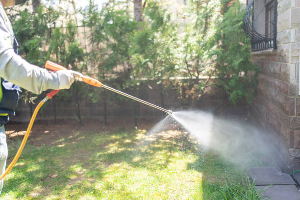 Best Cockroach Control Services  in Ithaca, MI