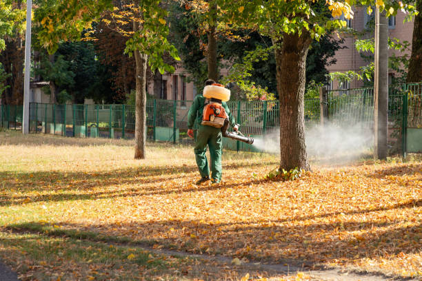 Best Affordable Pest Control Services  in Ithaca, MI