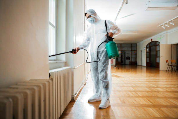 Flea Control Services in Ithaca, MI
