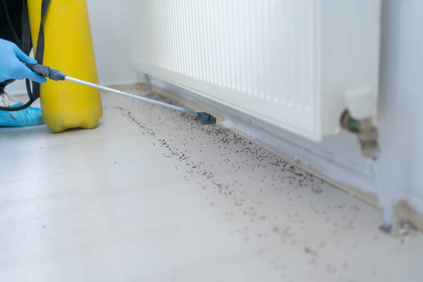 Best Best Pest Control Companies  in Ithaca, MI