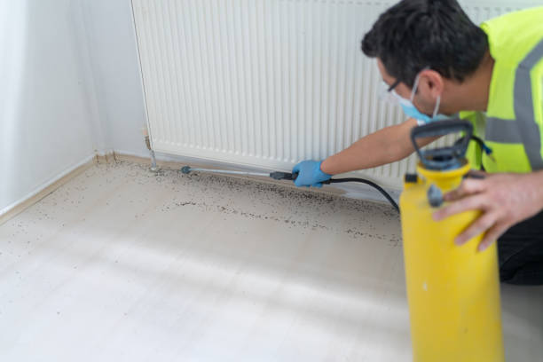 Reliable Ithaca, MI Pest Control Solutions
