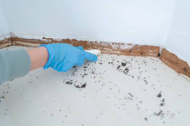 Best Wildlife Control Services  in Ithaca, MI