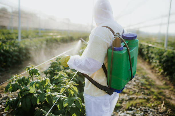 Best Affordable Pest Control Services  in Ithaca, MI